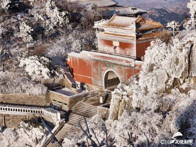 今天上午8:00起 ，泰山景区已有序恢复开放