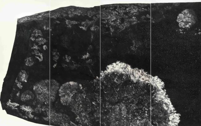 对话郭志刚 | 以墨为火,灼见生命真意