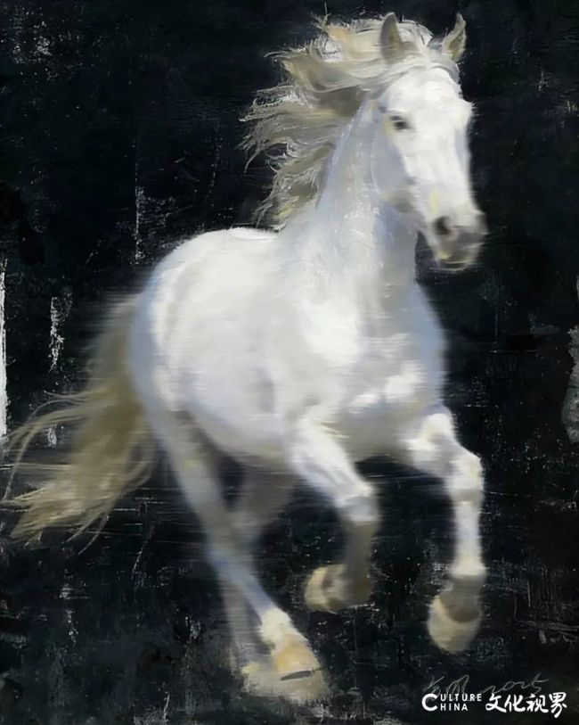 20260210113257791326.jpg 80.jpg