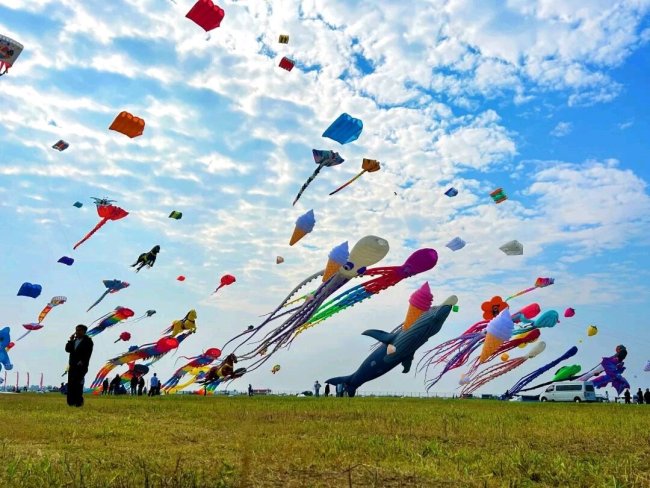 全球十只风筝八只潍坊造,潍坊风筝文化产业规模超百亿