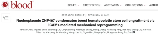 脐血研究新高度——山东省脐血库联合研究成果亮相国际顶刊《Blood》