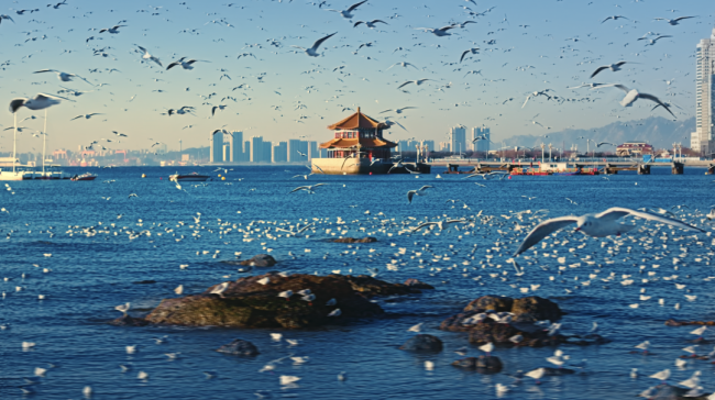 稳经济、抓招商，确保“开门红”！全国两会进行时，青岛接连召开重磅会议