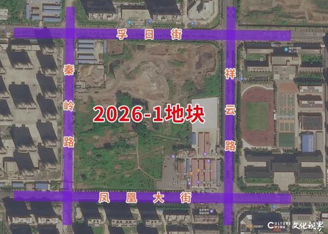 图片6.jpg