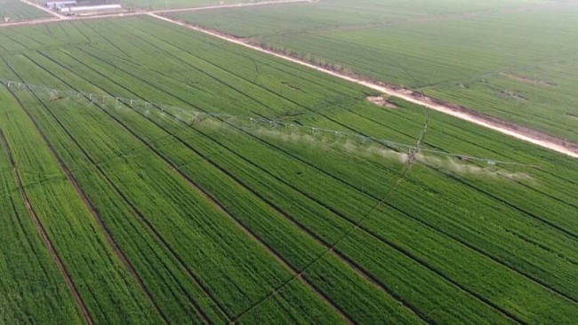 德州：12亿元“贷动”春季农业生产