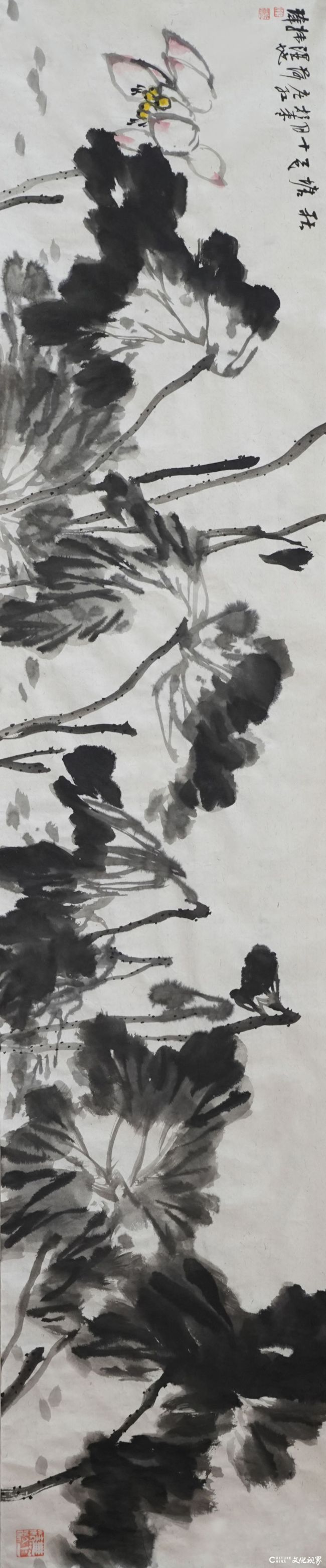 《秋塘》之二（素材写生）50x240cm 2025年.jpg