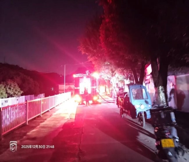 山林深处的治理答卷：如何在保护与发展之间找到平衡点