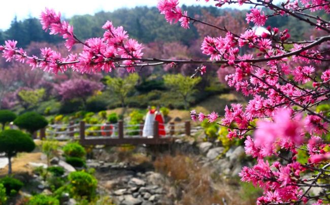 好看好玩好吃的,都有了!6条春游威海主题线路发布