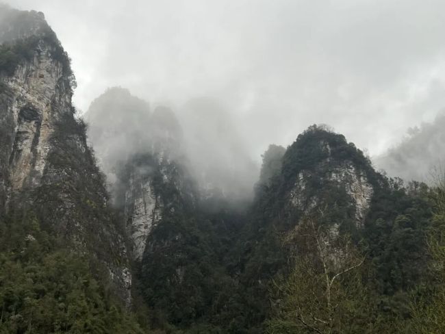 刘建新 | 以油彩叩问湘西，一场山河与灵魂的无声对话