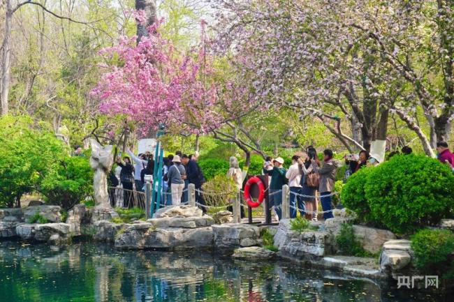 济南:花开满城,暖意融融