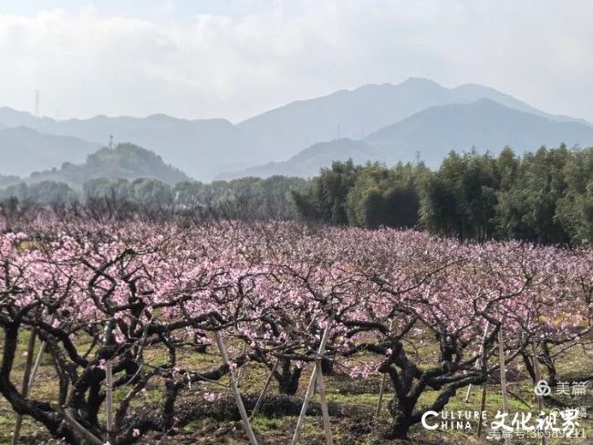 在那桃花盛开的地方——谢麟宁波奉化棠云写生纪实
