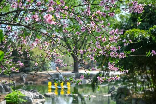 清明假期,济南重点景区纳客超179万人次