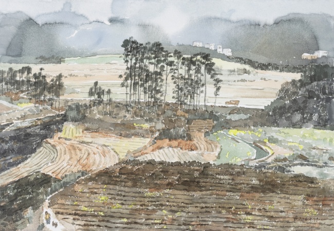 韦俊平丨家乡的土地,心底的乡愁