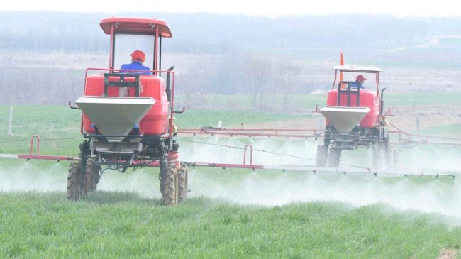 从“会种地”到“慧种地”，看青岛春耕的新质生产力