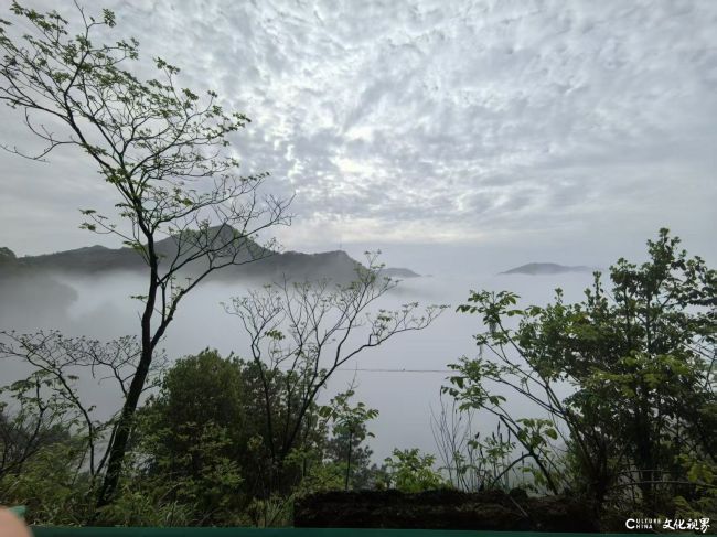 李彬 | 黄山太平东坑南悦茶山春行