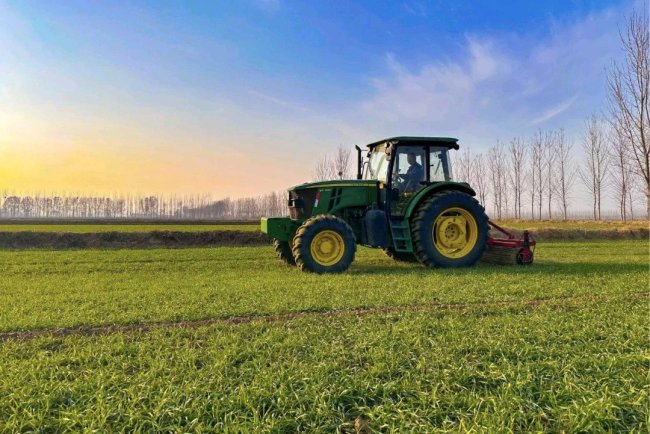 潍坊聚焦冬小麦促弱转壮，一二类苗占比已超九成