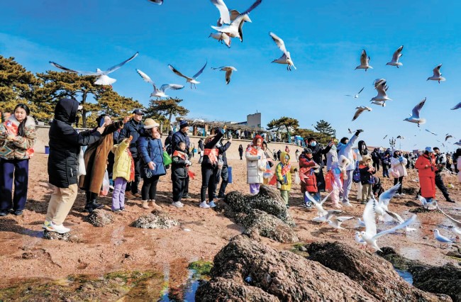 青岛深耕自然教育，铺就生态育人暖心路