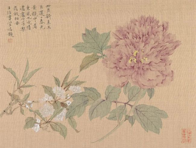 “本心·王法问花录” | 江宏伟：将一花一叶以文雅之姿徐徐展开，画面充盈着宁静与淡然