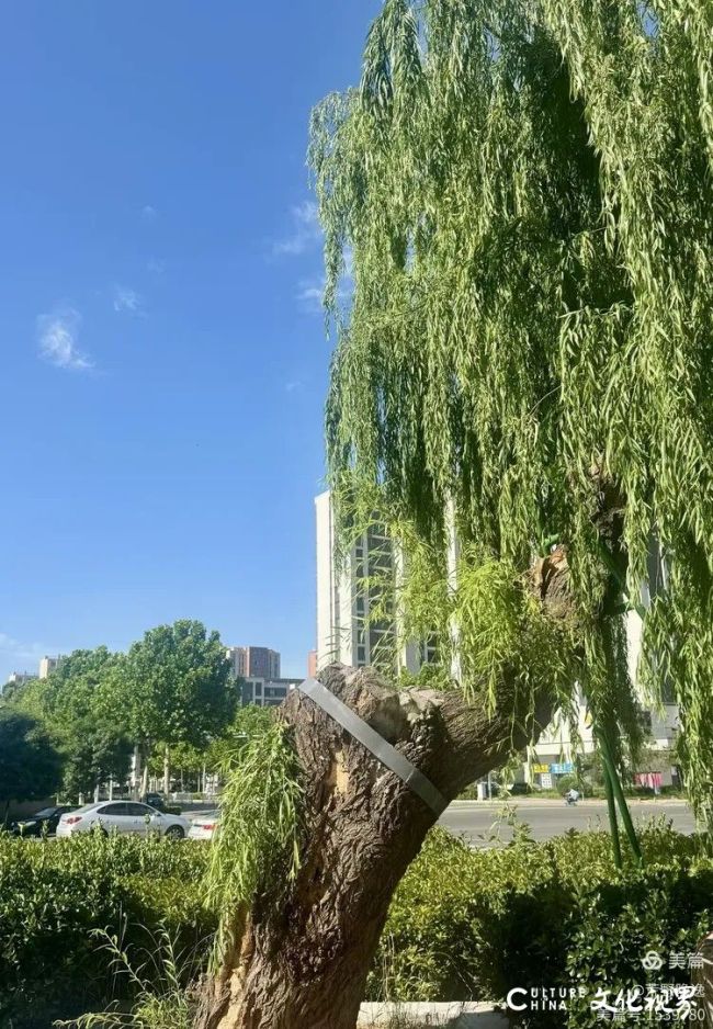 20260602120108401929.jpg 12.jpg