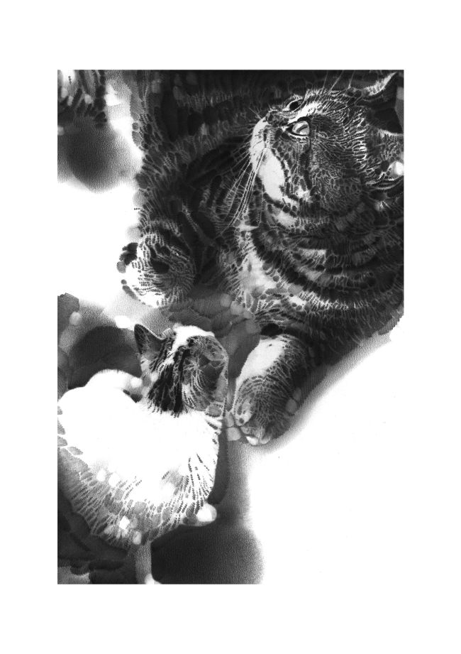 20240315094525949548.jpg 猫生.jpg