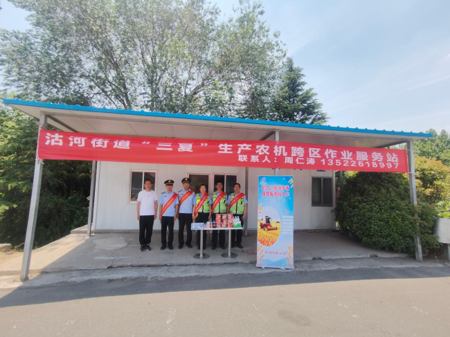 青岛莱西沽河街道： 跨区服务站暖心护航“三夏”麦收