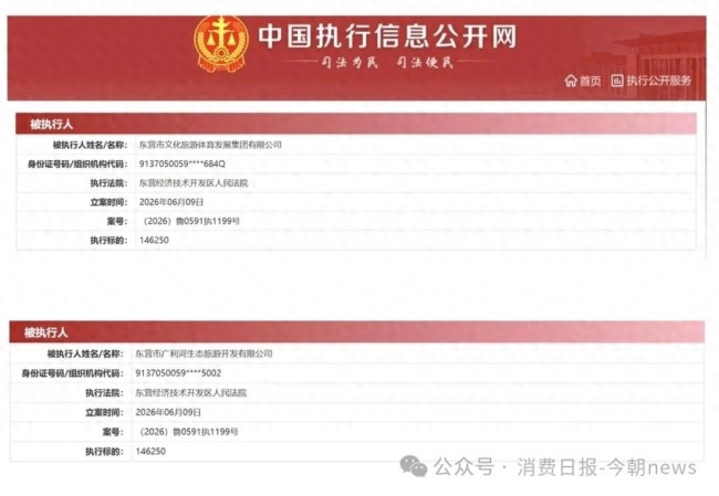 东营市文旅集团及其全资子公司广利河生态旅游开发公司遭法院强制执行,执行标的共计146250元