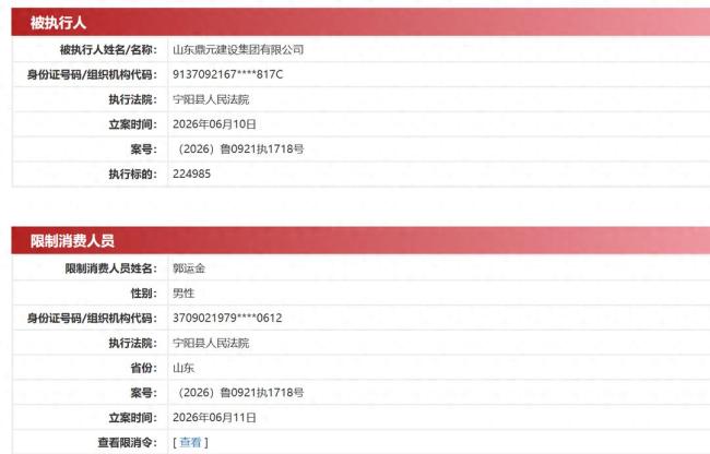 山东鼎元建设集团新增被执行人记录,标的22.5万元,法人郭运金再被限高