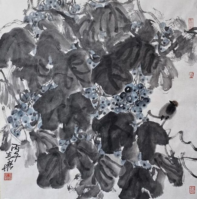 图片