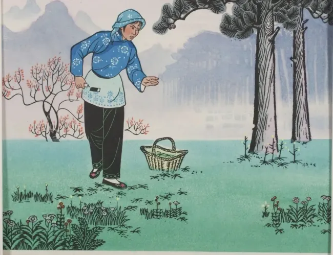 图片