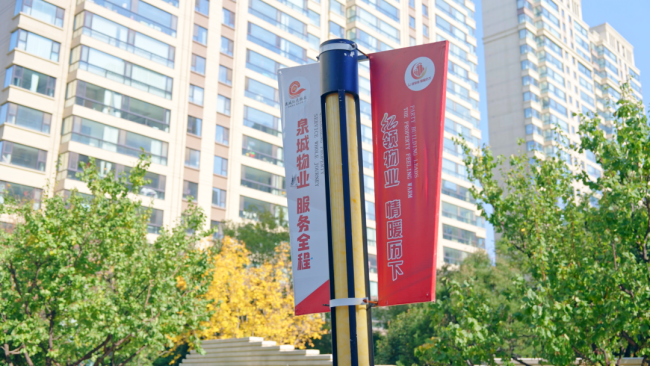 党建铸魂聚同心力量，实干笃行护万家安居