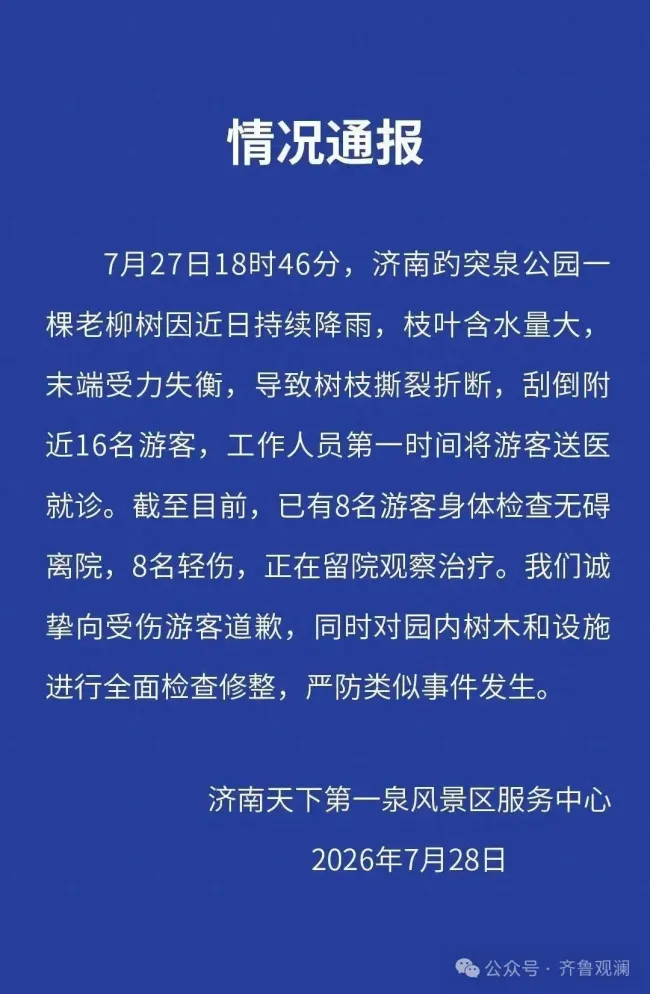 趵突泉公园老柳树因持续降雨断枝伤及16名游客,济南天下第一泉风景区通报伤情并致歉