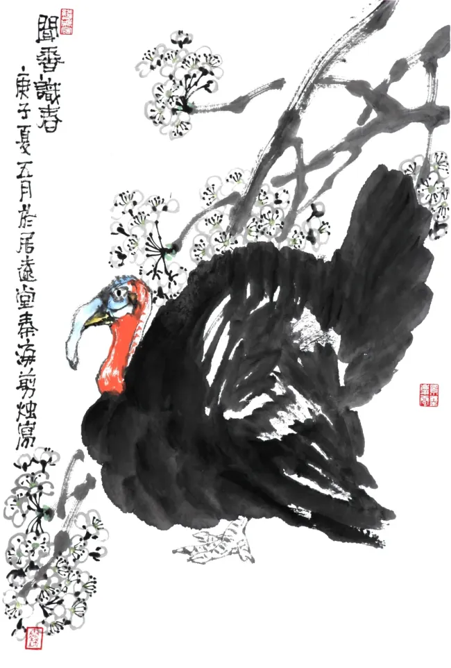 图片