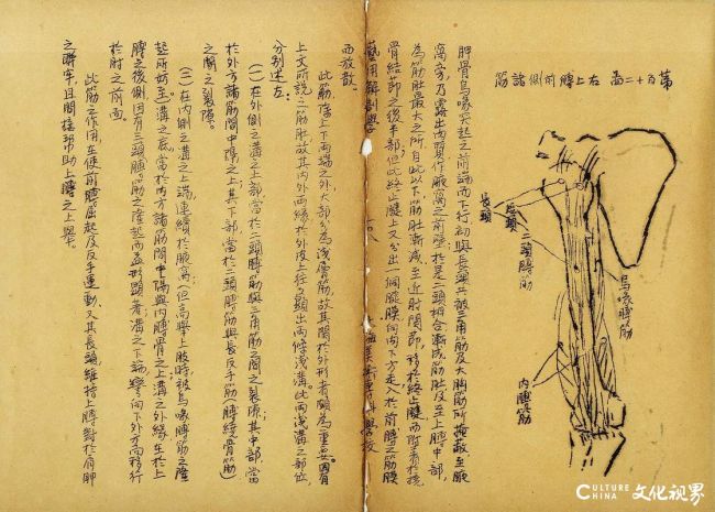 20260812102308991241.jpg 刘海粟早年译著8.jpg