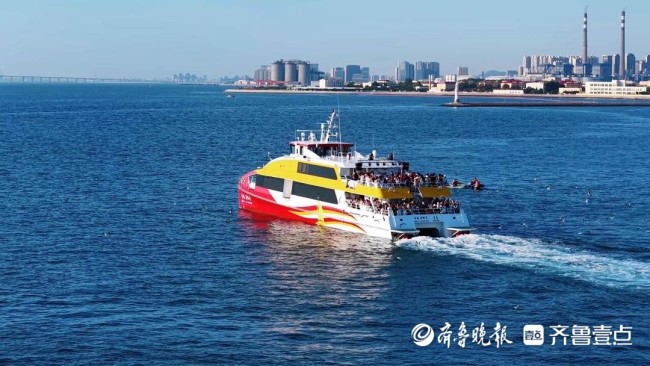 年待客量突破300万人次！青岛海上旅游创历史同期新高