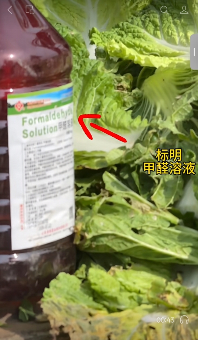 河北康保县“白菜蘸甲醛保鲜”官方证实属实——涉案人员已被控制,问题白菜流向仍成谜