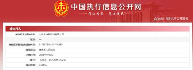 山东七维新材料有限公司再增被执行人记录，累计执行案件覆盖全国多地，法定代表人遭限消