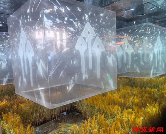 淄博：典籍活化 以齐地智慧浸润城市根脉