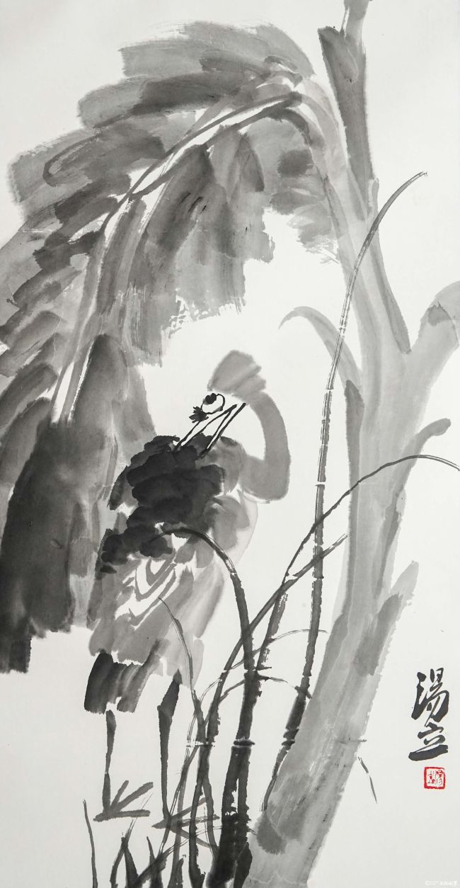 汤立.JPG