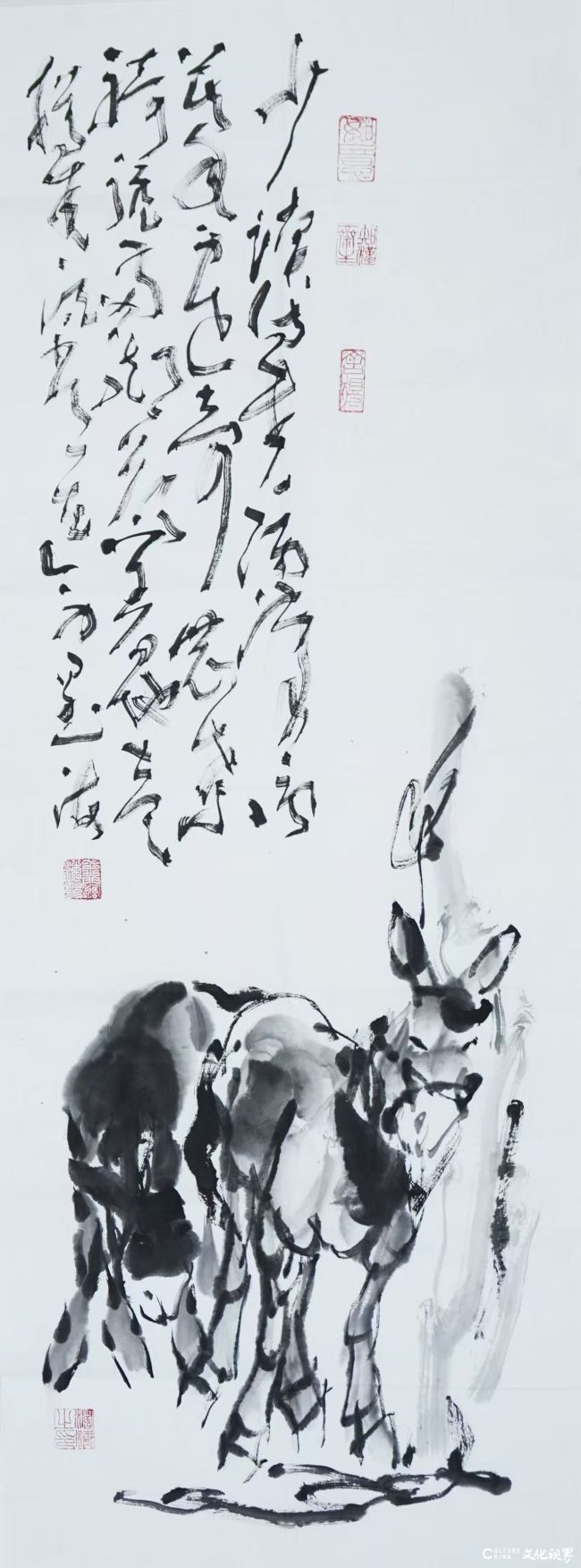 20260911113216460614.jpg 微信图片_20260911091432_3808_2.jpg