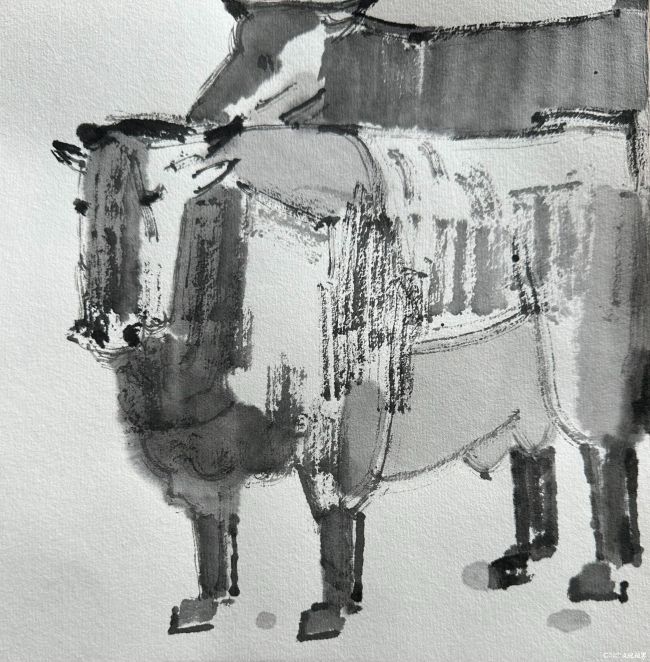 吴荣华 《牛》 21×21cm 宣纸水墨 2026年.jpg