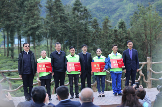 第二届陕西网上茶博会暨第二届镇巴茶产业发展大会开幕