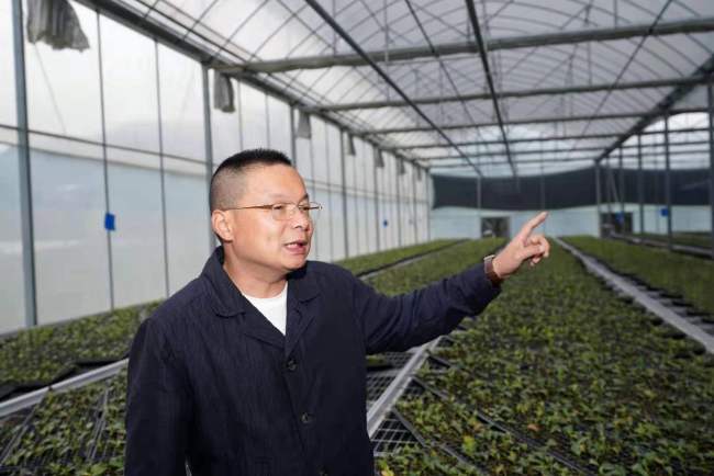 商南县茶产业发展中心主任朱熙敏介绍商南茶产业规划