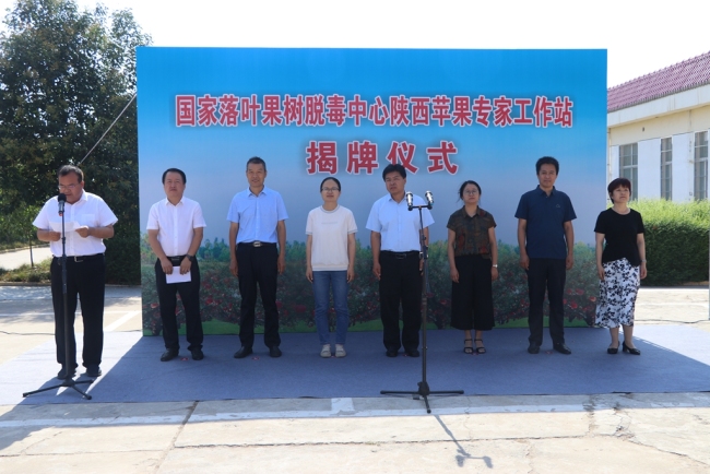 国家落叶果树脱毒中心陕西苹果专家工作站在咸阳市农科院揭牌成