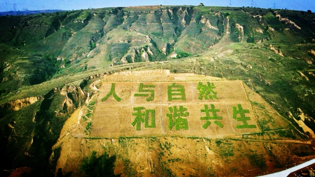 非凡十年 | 陕西神木：厚植生态底色 守护绿水青山