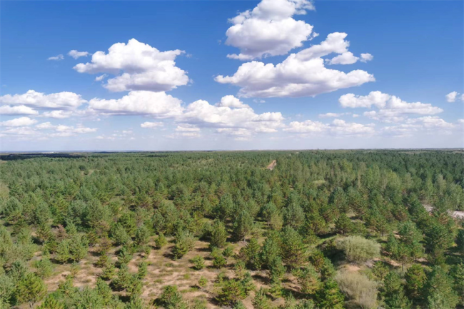 张应龙:用科技唤醒生态的自我生命力