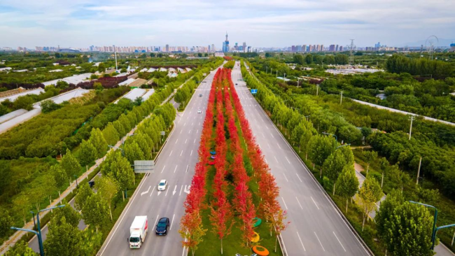 沣西新城：城市交通铺就高质量发展  “快车道”