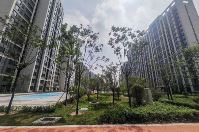 秦创原生态科创岛2单元创新雅居项目迎来首批学子入住