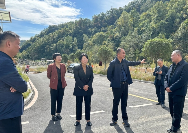 镇坪县委常委、统战部部长李俊到上竹镇督导招商引资推介谋划工作