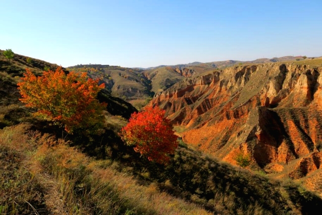 陕西佳县:绮丽多姿“红土林”,惊艳!