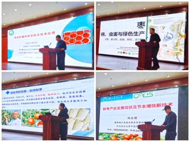 国家桃产业技术体系来陕开展技术培训交流