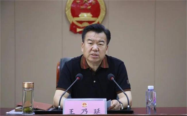 府谷县人大常委会原党组书记、主任王乃延接受审查调查